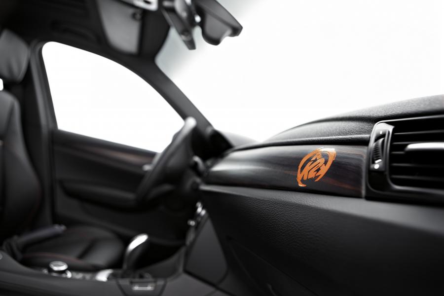 Интерьер BMW K2 Powder Rider Concept (E84) 2012 года  (фото 9 из 25)